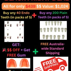 Save $585 – Value $1,024 (40 Endo Teeth +200 Plain Teeth) + FREE Gum