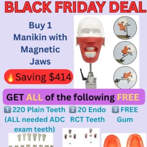 Buy 1 Manikin with Magnetic Jaws + Get 3 FREE Gifts